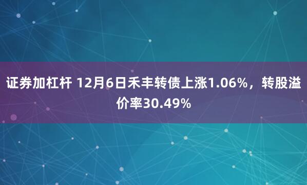 证券加杠杆 12月6日禾丰转债上涨1.06%，转股溢价率30.49%