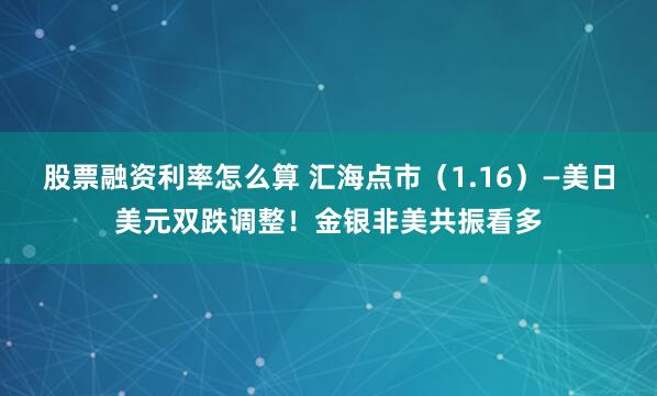 股票融资利率怎么算 汇海点市（1.16）—美日美元双跌调整！金银非美共振看多