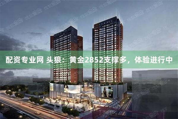 配资专业网 头狼：黄金2852支撑多，体验进行中