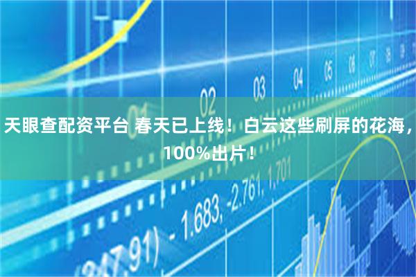 天眼查配资平台 春天已上线！白云这些刷屏的花海，100%出片！