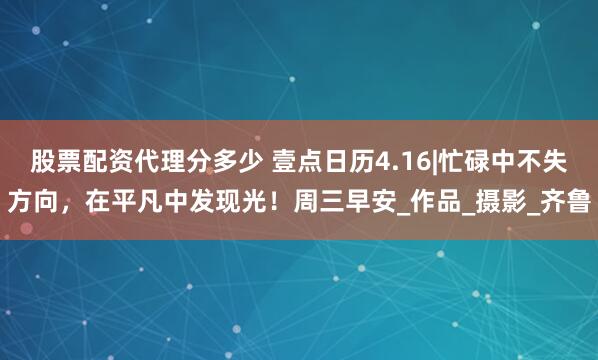 股票配资代理分多少 壹点日历4.16|忙碌中不失方向，在平凡中发现光！周三早安_作品_摄影_齐鲁