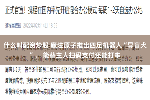什么叫配资炒股 魔法原子推出四足机器人“导盲犬”， 能替主人扫码支付还能打车