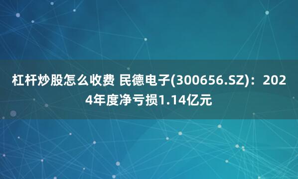 杠杆炒股怎么收费 民德电子(300656.SZ)：2024年度净亏损1.14亿元