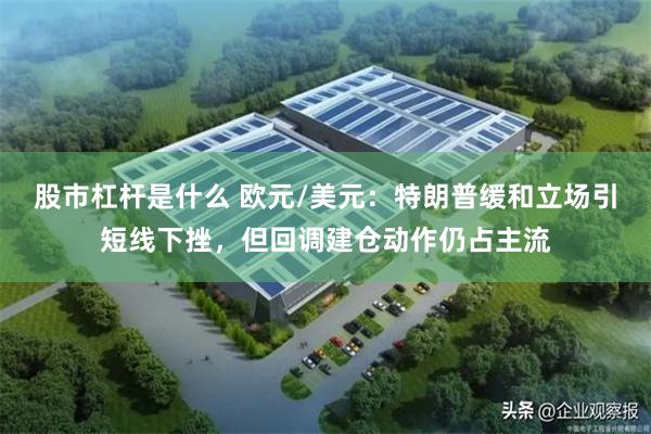 股市杠杆是什么 欧元/美元：特朗普缓和立场引短线下挫，但回调建仓动作仍占主流
