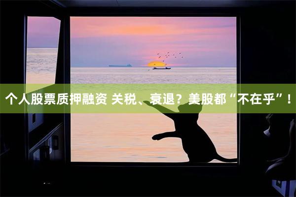 个人股票质押融资 关税、衰退？美股都“不在乎”！