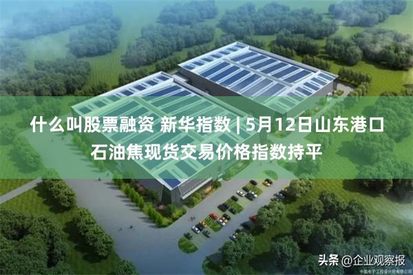 什么叫股票融资 新华指数 | 5月12日山东港口石油焦现货交易价格指数持平