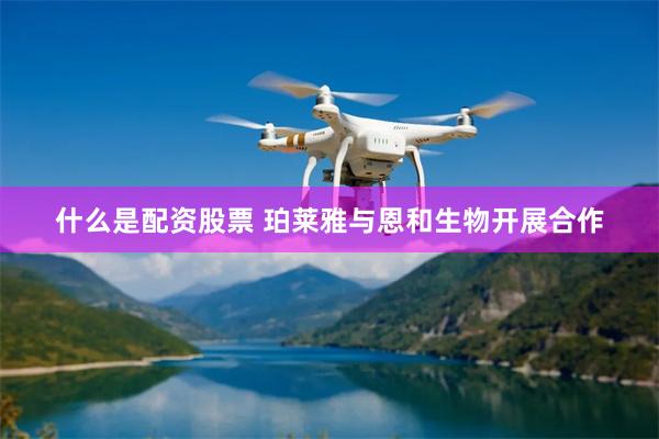 什么是配资股票 珀莱雅与恩和生物开展合作