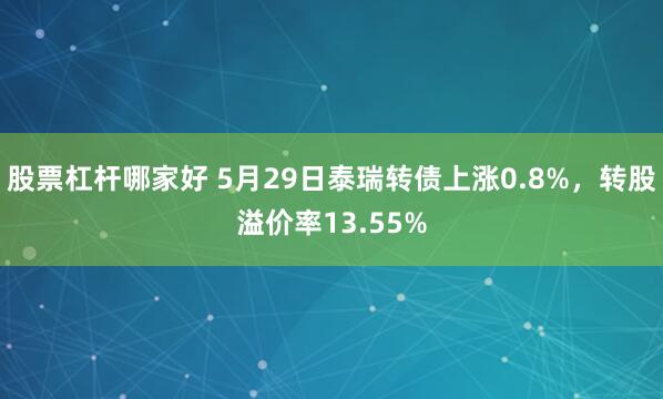 股票杠杆哪家好 5月29日泰瑞转债上涨0.8%，转股溢价率13.55%