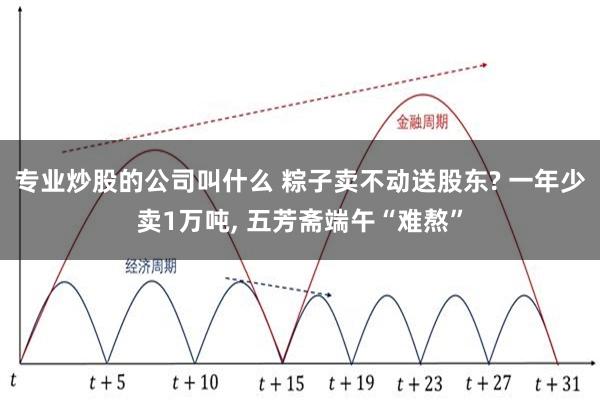 专业炒股的公司叫什么 粽子卖不动送股东? 一年少卖1万吨, 五芳斋端午“难熬”