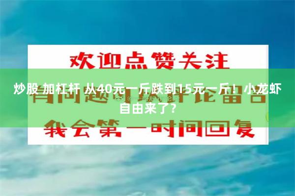 炒股 加杠杆 从40元一斤跌到15元一斤！小龙虾自由来了？